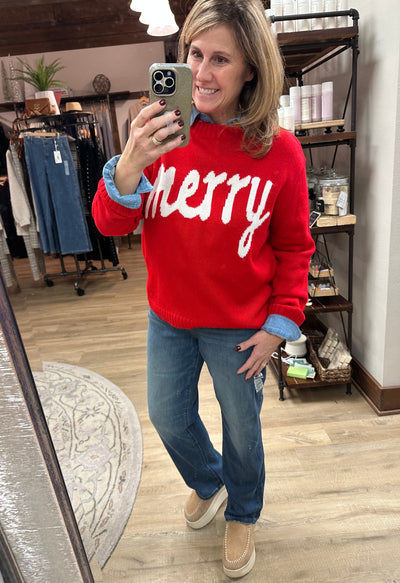 Judy Blue Straight Dark Wash